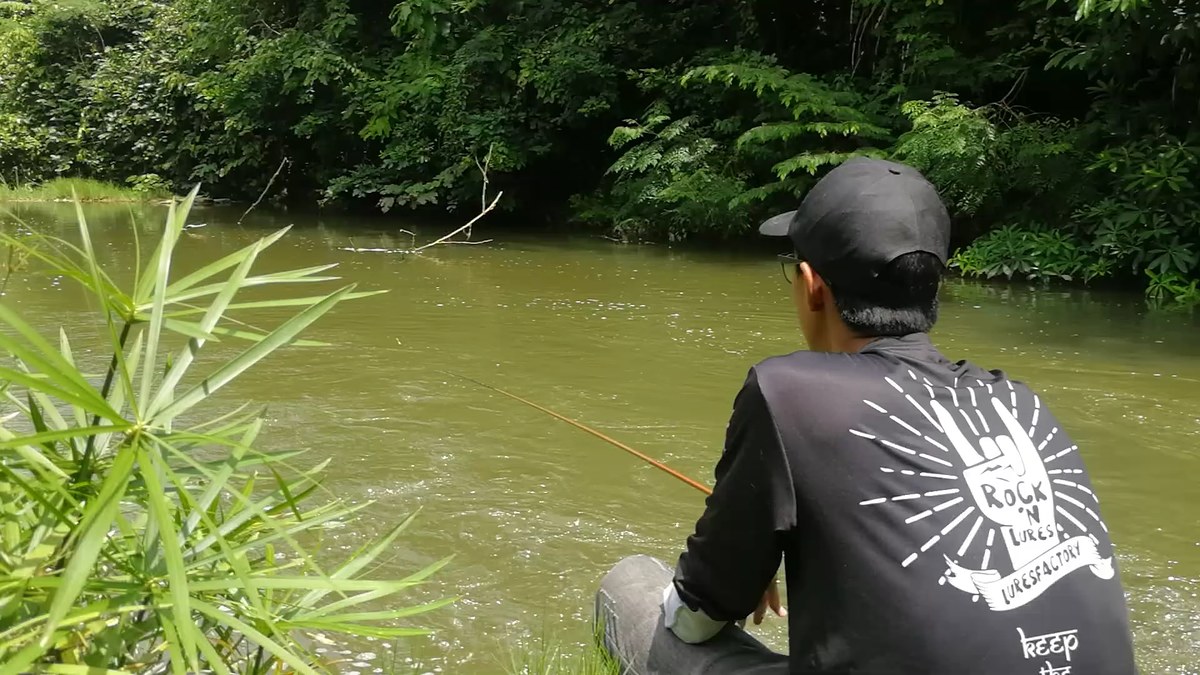 อย่าโฟกัสว่าจะได้ปลาเล็กหรือปลาใหญ่ความสุขมันอยู่ตรงที่ได้ตกปลา
ขอบคุณ​ที่ติดตามรับชมครับ​
Thank​ 