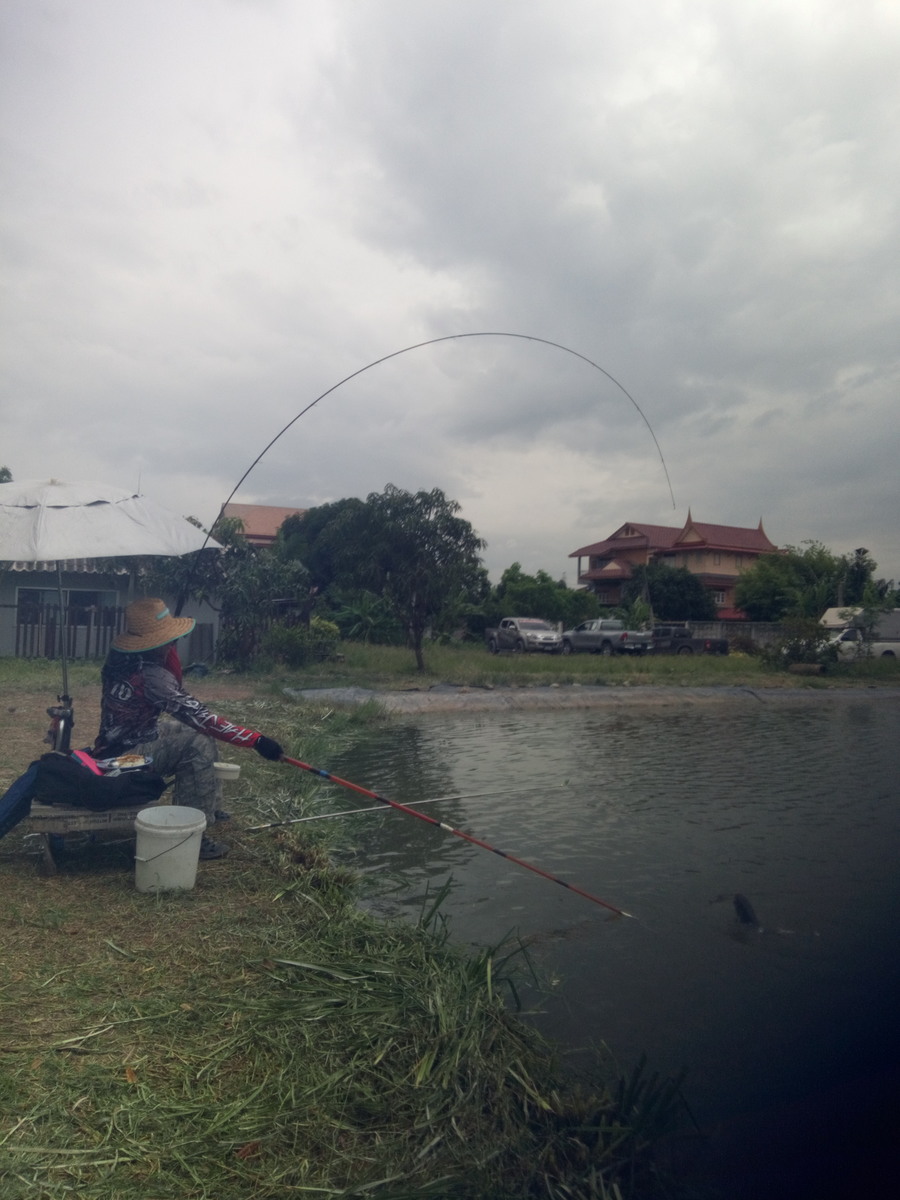 คันสปินนะไม่ใช่หลิว