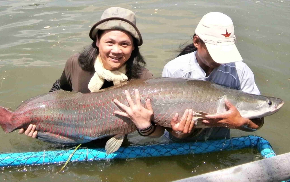 huahin fishing รููปเก่าครับน้าๆตกได้ที่นี้