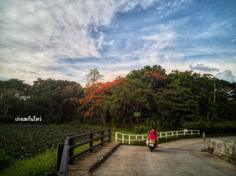 ถนนซ้อมวิ่งสวย ๆ เพิ่มรายละเอียดของภาพด้วยโครงสร้าง และสีสัน