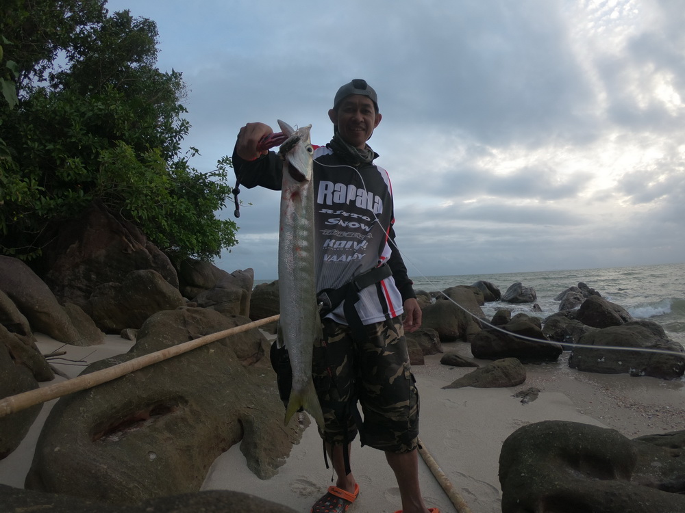 คันเบ็ด Storm twichblade 8-20 lb 
เหยื่อ  Rapala jointed shallow shad rap 7cm
สาย    sufix versaga