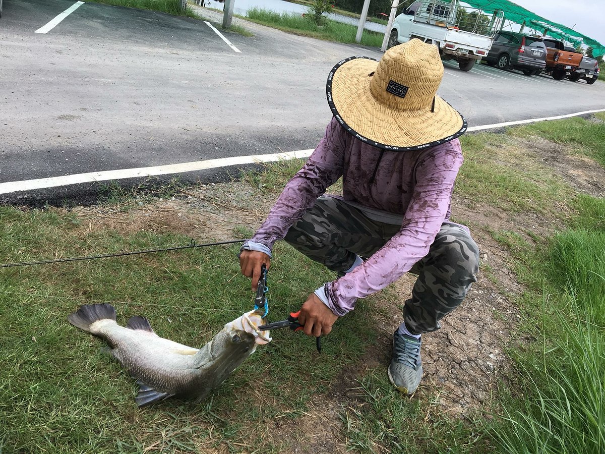 โดนไปหลายตัวเลยทีเดียว