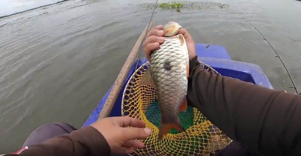 ทริปล่ากระสูบใหญ่ บึงกุดปลาคูณ