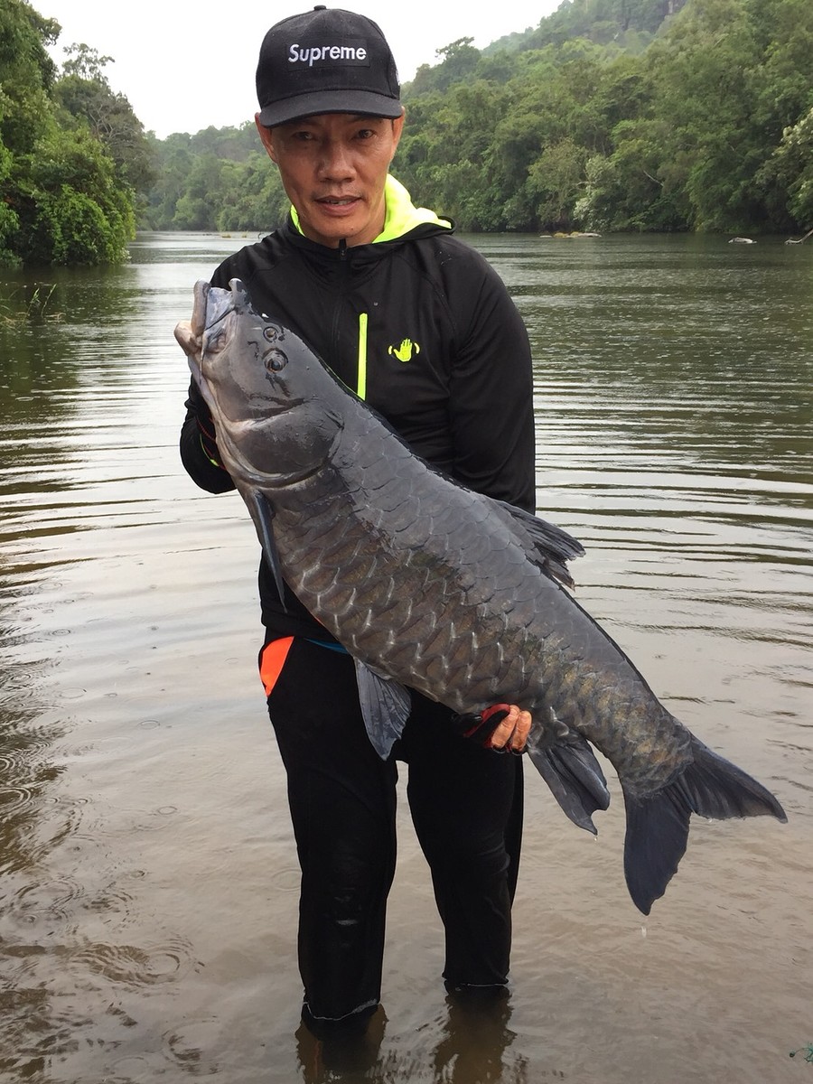 

[b] ... Special Frame ... 

Credit : เสี่ยเกือง ปากเซ & Blue Masheer 14.5 kg [/b]

 :cool: :