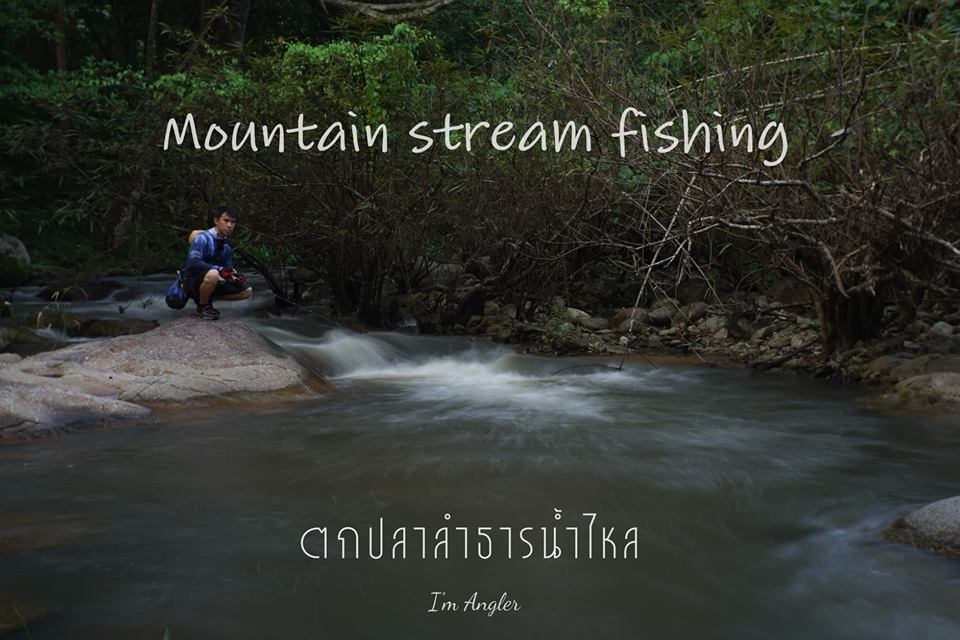 mountain stream fishing ตกปลาลำธารน้ำไหลกับบรรยากาศสุดฟิน