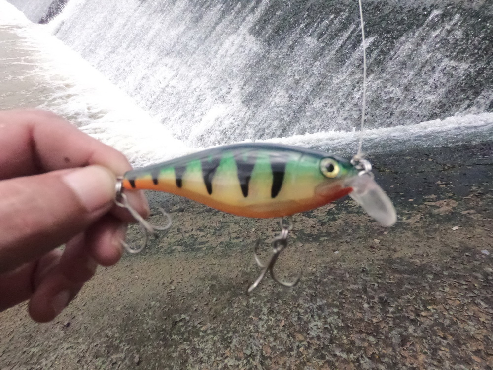 ส่วนอีกวันเย็นๆแวะมาลองที่ฝายน้ำล้นดูบ้างครับ 
Rapala x-rap shad 7 cm  :cheer: :cheer: :cheer: :che