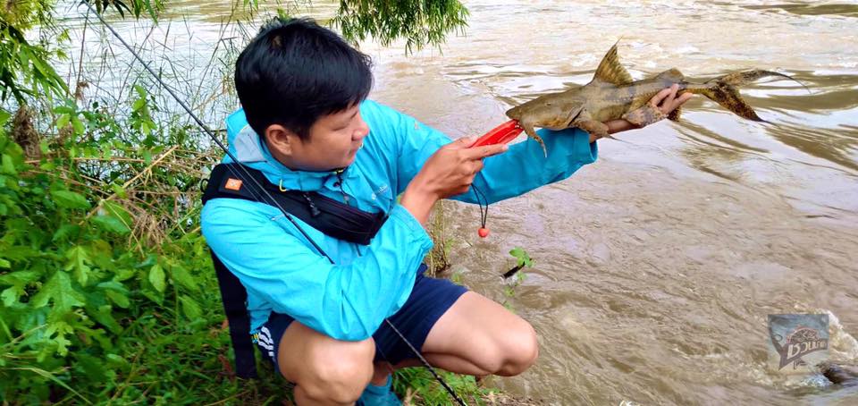 กระทู้แรกของผม ขอลาด้วยภาพนี้ ขอให้น้าๆสนุกกับการตกปลานะครับ สำหรับน้าท่านใดที่ผ่านแพร่ อยากตกแค้ ทั