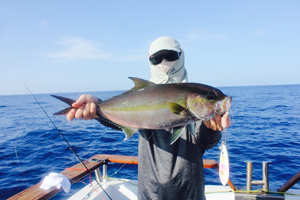 Amberjack 