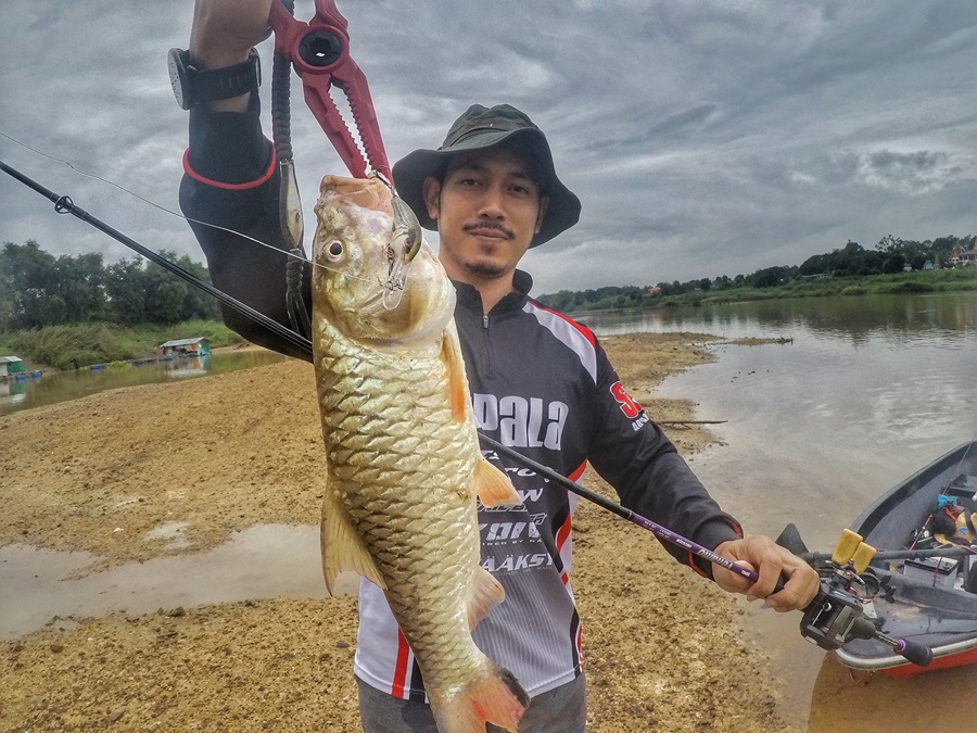 

 [center][b]ตัวที่สองตามมาติดๆ Rapala SHAD DANCER 4 cm.เหมือนเดิม[/b][/center]

 [center]:grin