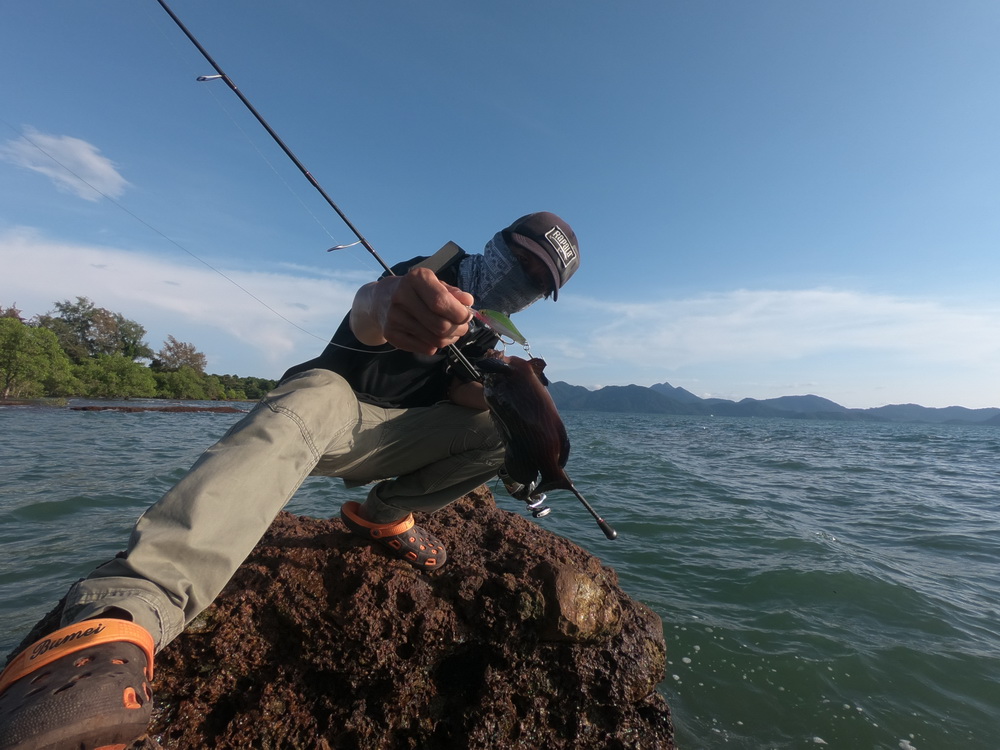 ตัวแรกก็มากะรังท้องกำปั่น หรือ ช่อม่วง สายบัว แล้วแต่ท้องถิ่นจะเรียกครับ 

Rapala shadow rap jack 