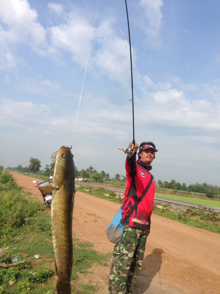 พอได้มันกับช่อนตัวเเรกครับ :cheer: :cheer: :cheer: :cheer:
