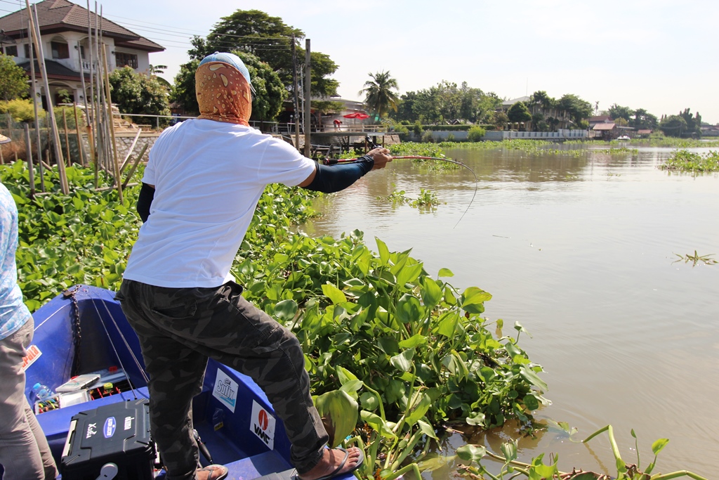  ตีอยุ่สุกพักก็โดน อีกตัว