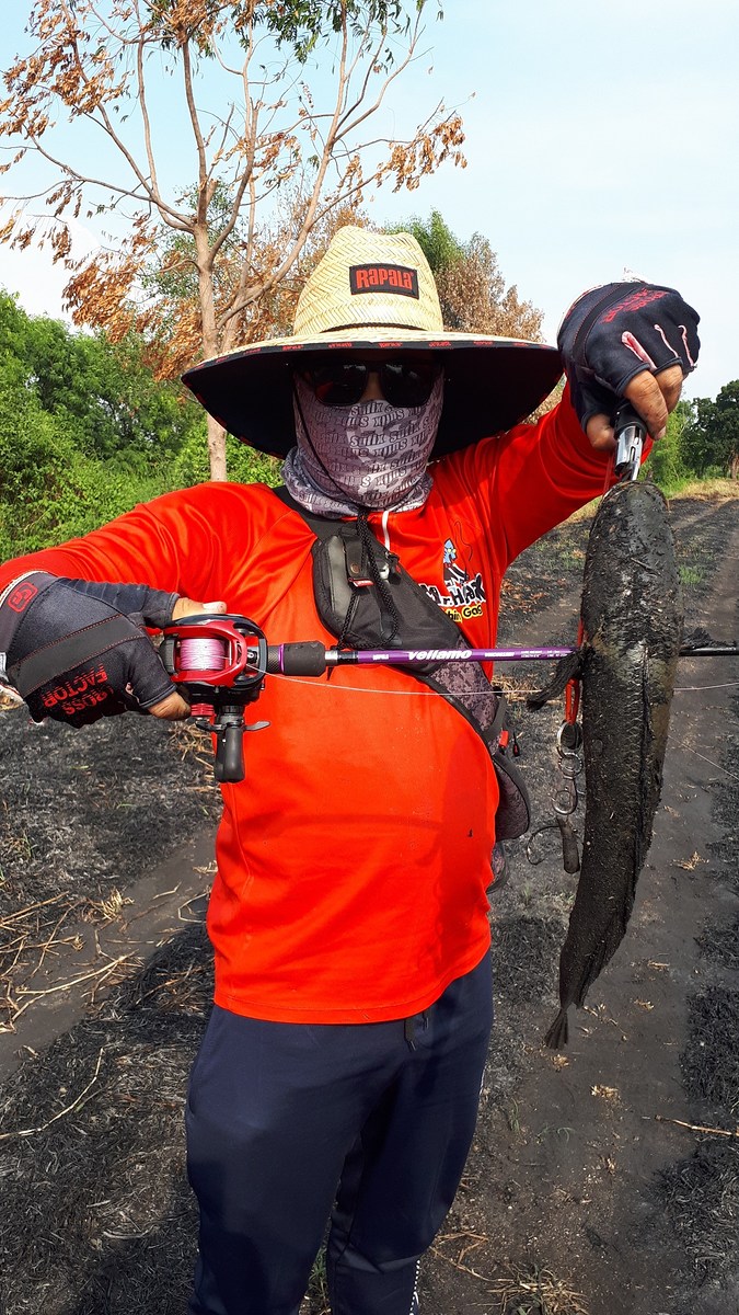 ส่งสายวัดหลุดอยู่พักใหญ่ครับ ชักจะ