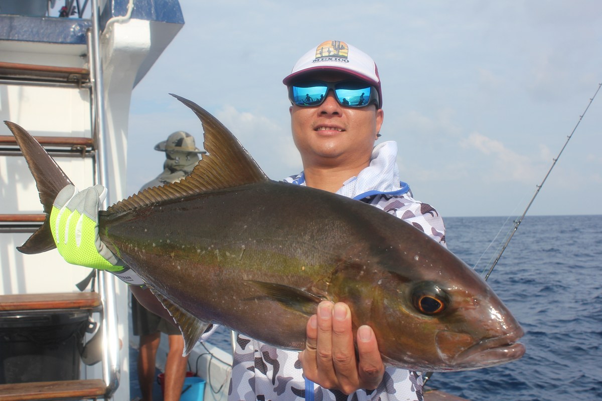 amberjack  :grin: