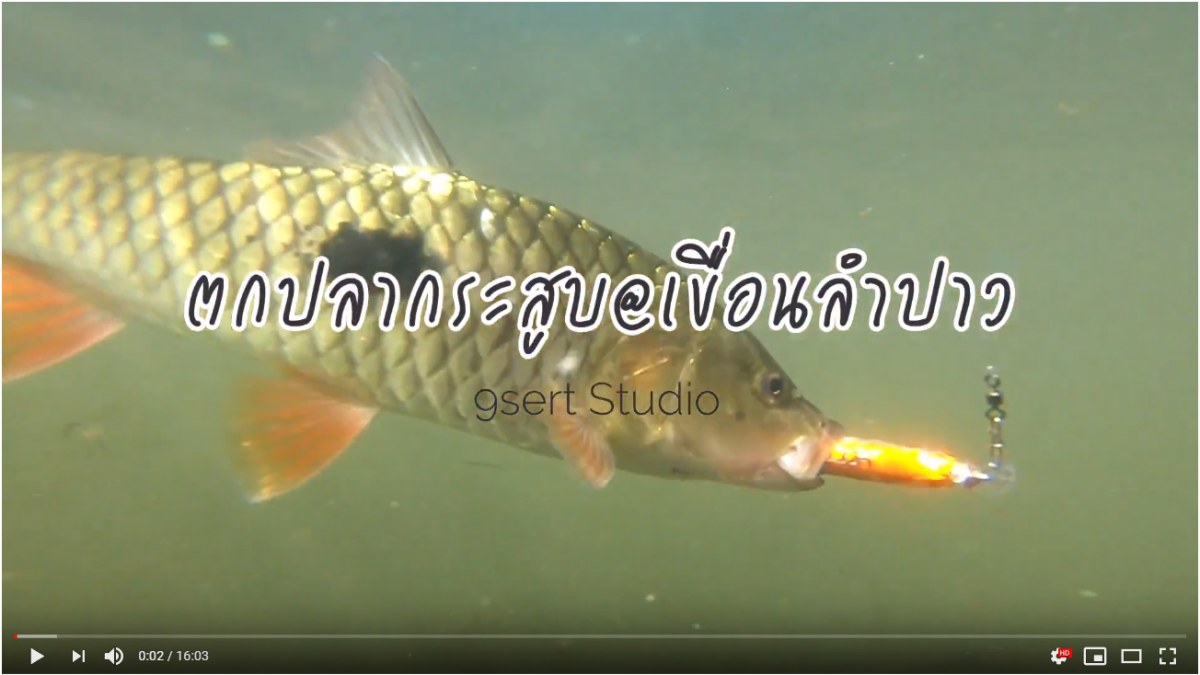 ตกปลากระสูบหน้าหนาว ณ เขื่อนลำปาว 