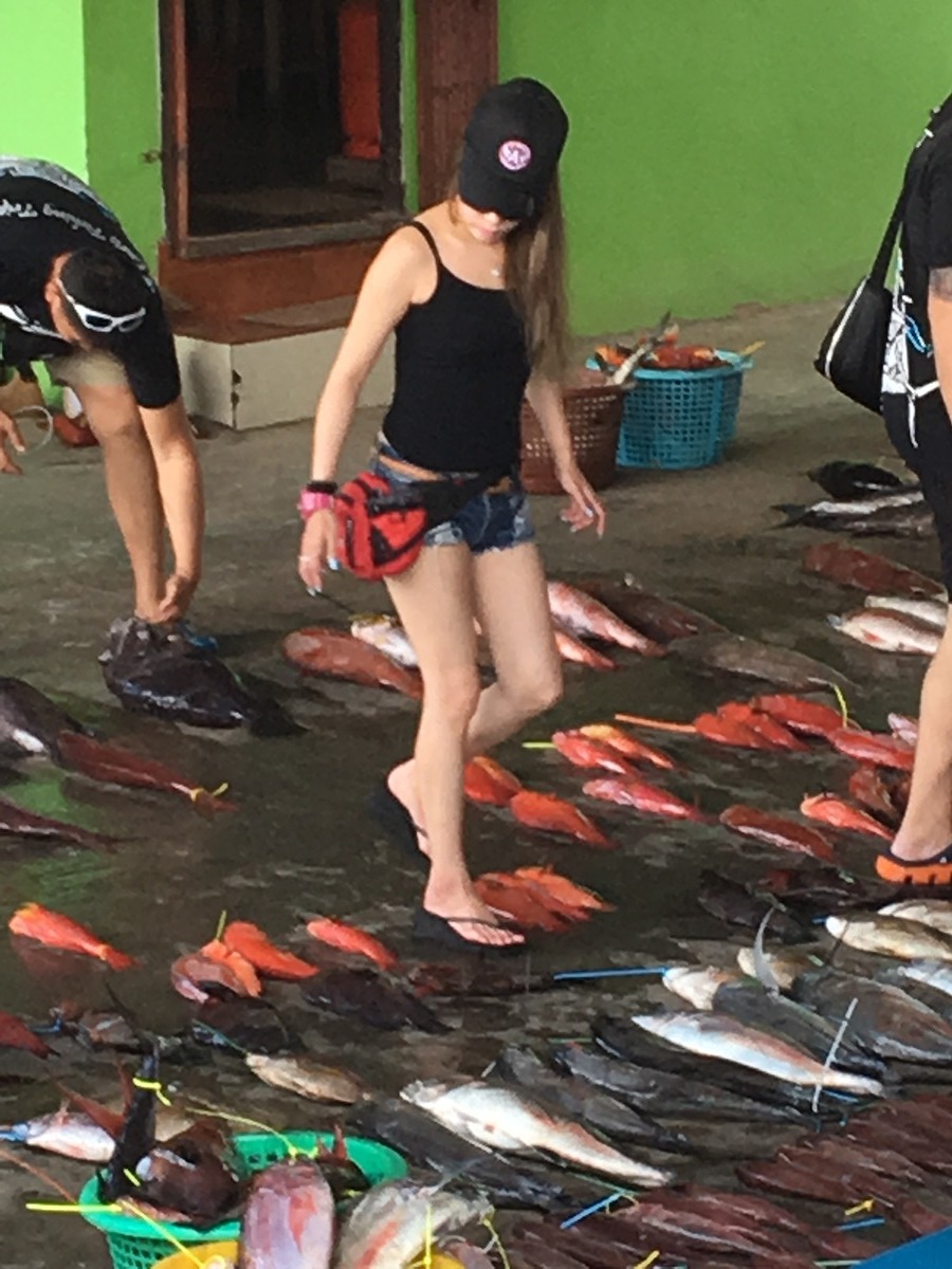 ทางพี่นุ ได้ปลาเยอะดีเน๊อะ
 :cool: