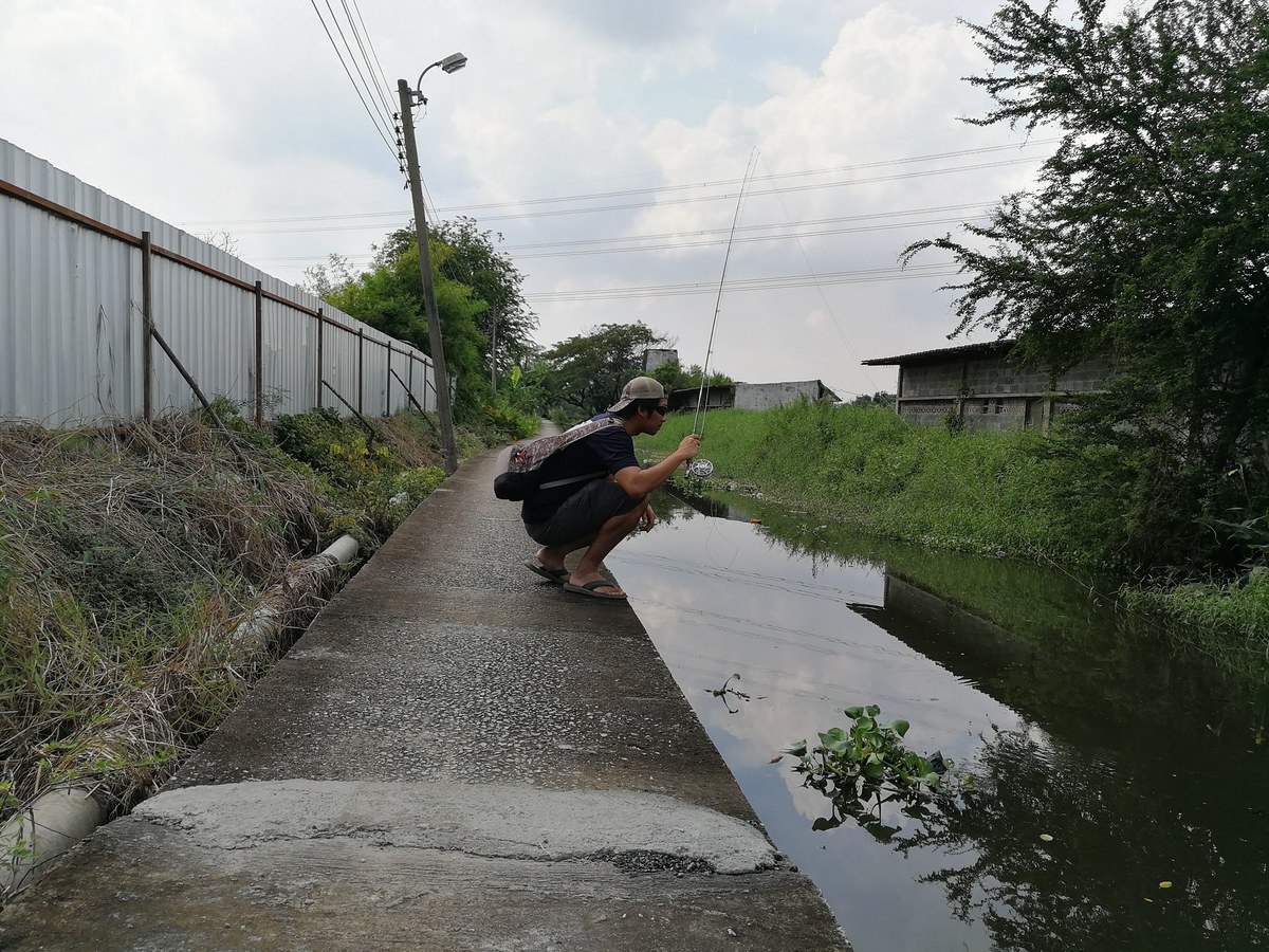 ถ้ามีความชำนาญในระดับสูง fly fishing ก็สามารถทำได้