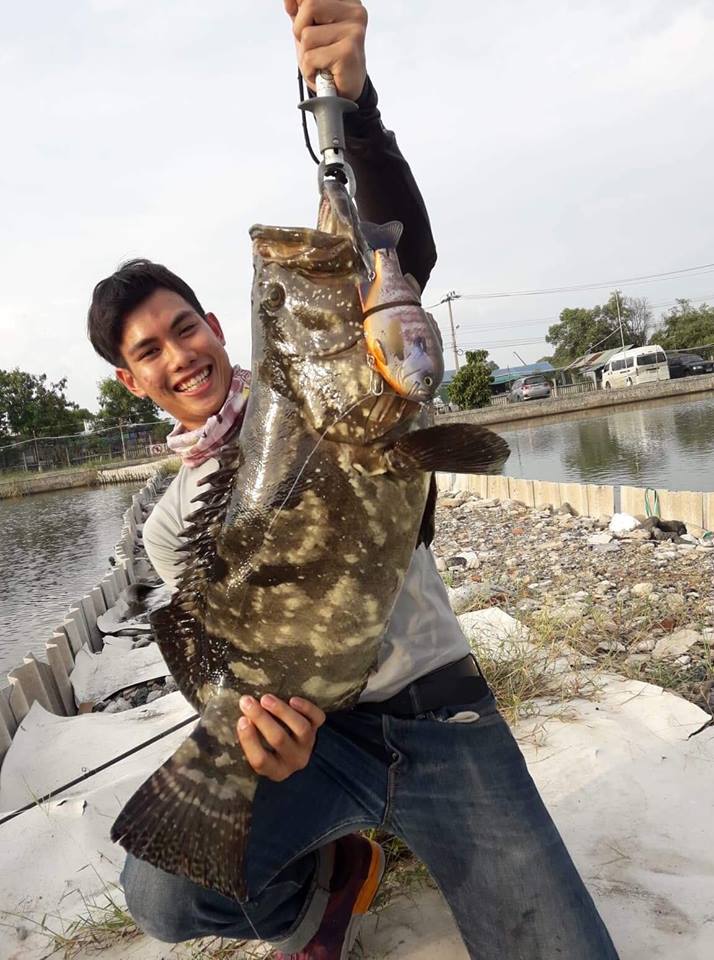 Big bait & Swimbait ต้อนรับปี 2019 