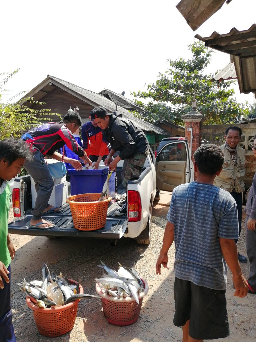 ขนปลาขึ้นรถก่อนเดินทางกลับบ้านกัน