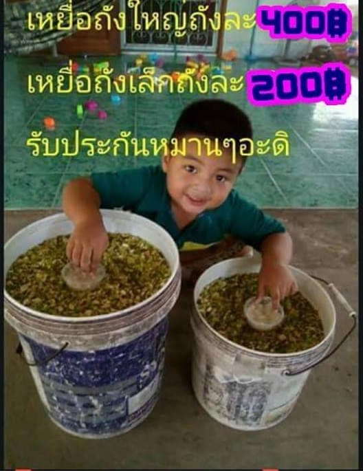 ข้อมูลตามนี้เลย ในถังจะแถมหนังหมูหมักไว้ตกปลากด ปลาดุก อีกด้วยครับ