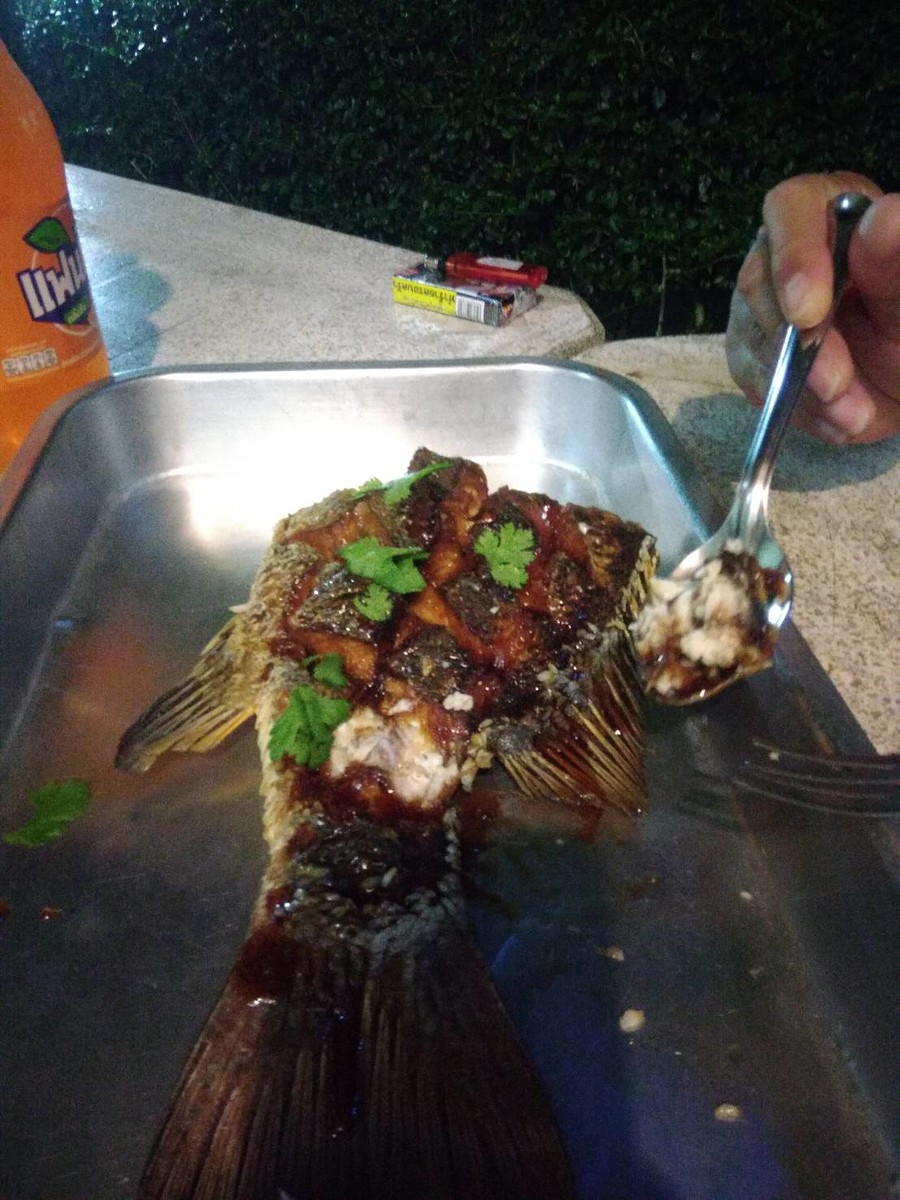 ลากันด้วยภาพนี้ครับปลาแดงเขี้ยวราดซอสมะขาม     ตกเองกินเองครับ