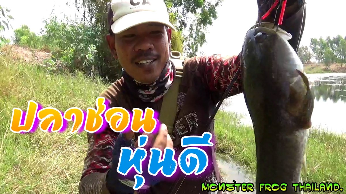 ปลาช่อนตัวนี้หุ่นดีจัง