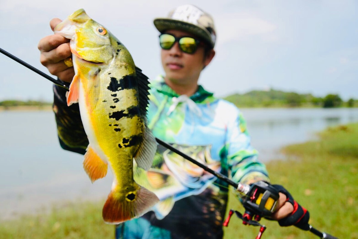 "Peacock bass" Love Fishing in Thailand