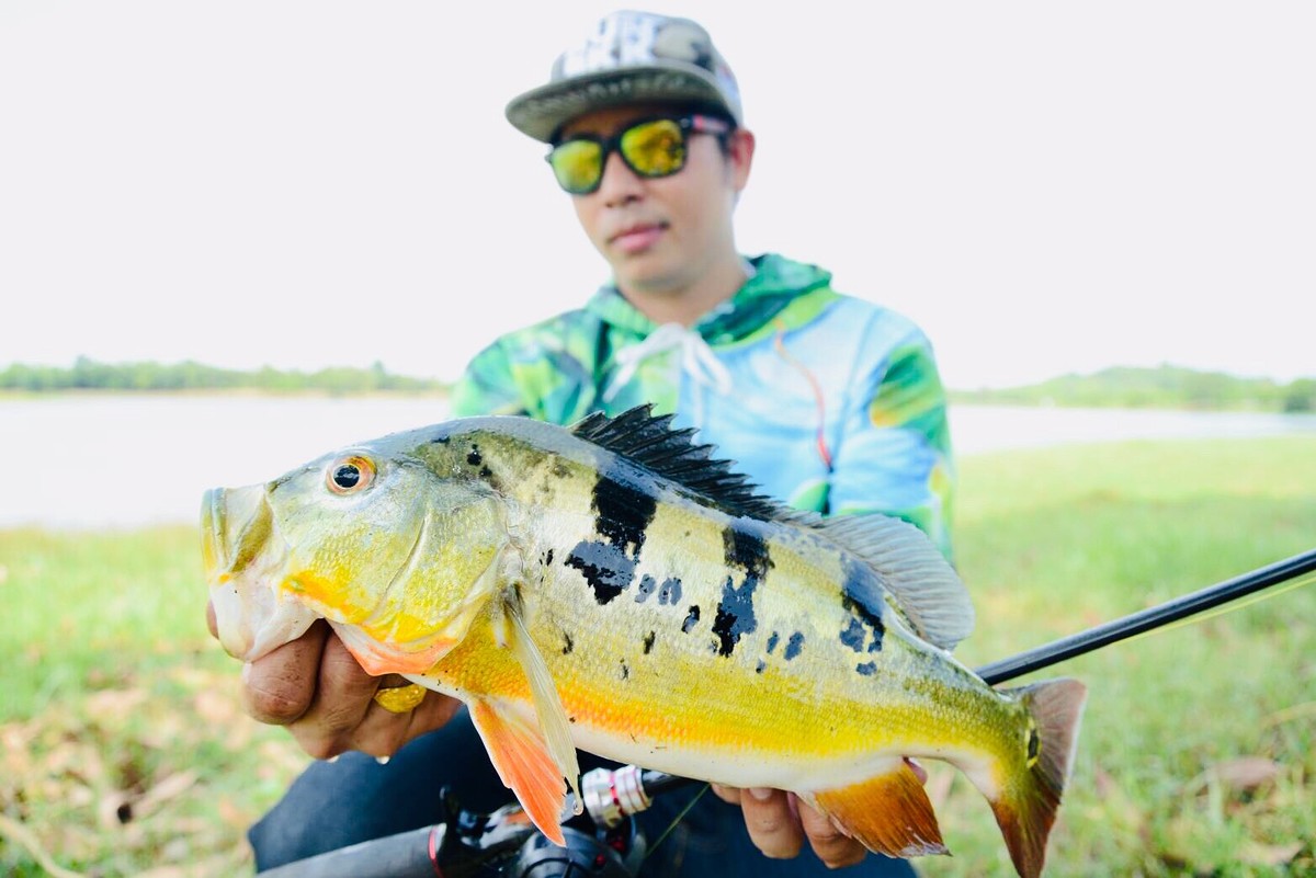 "Peacock bass" 
Love Fishing in Thailand :love: :love: :love: :love: :love: