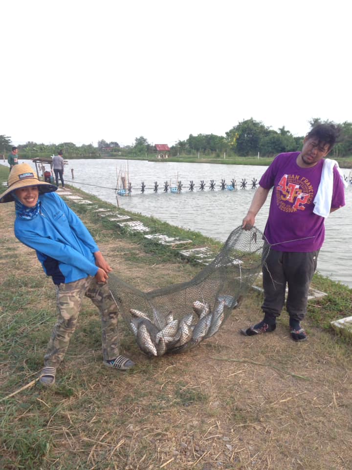 ผลงานกระพงสายเเข็ง 20/04/62