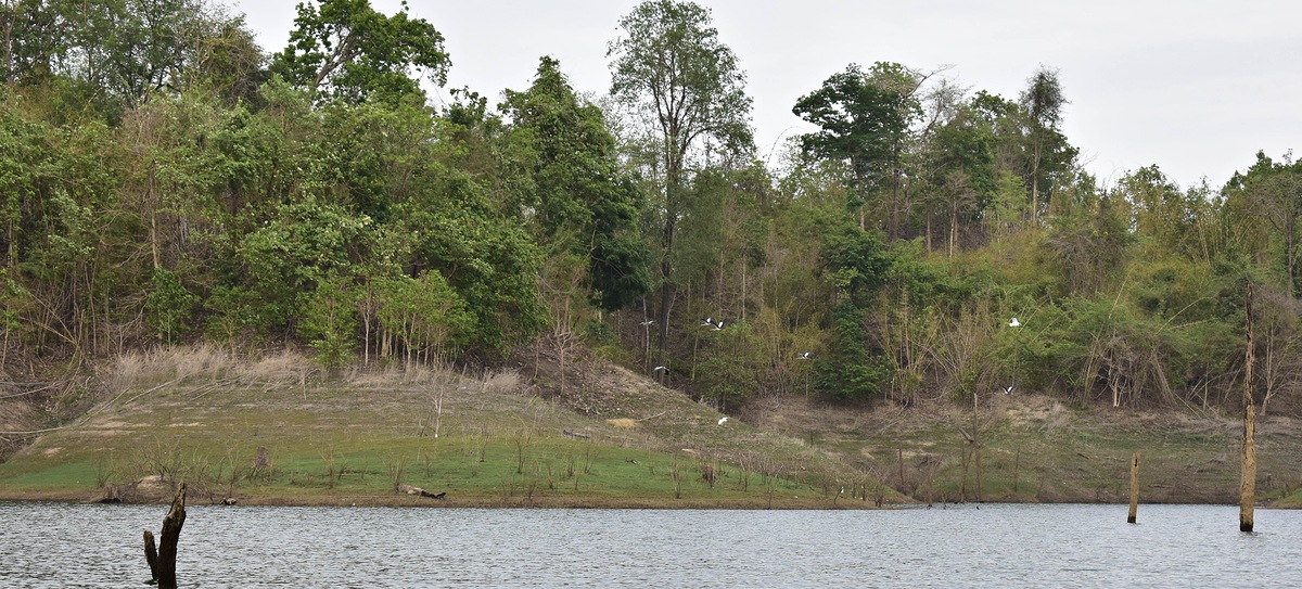 สวยงามตามท้องเรื่อง ธรรมชาติ :grin: