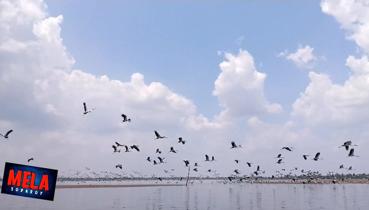 ความสวยงาม จากธรรมชาติ