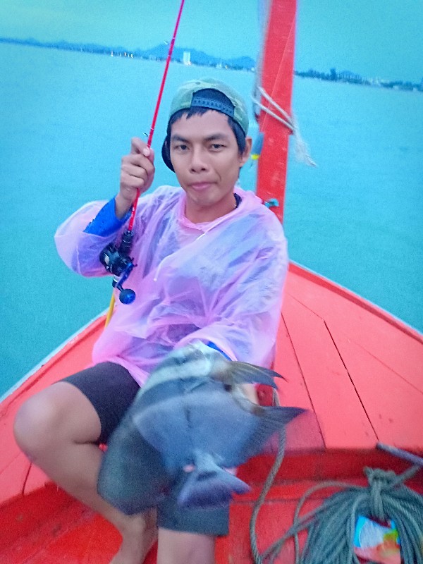 หลังจากนั้น ก็โดนฝนถลุ่ม กันเปียกโสก เลยตัดภาพมาตอนเช้าเลย น้าบอลก็ซัด หูช้างมาอีกตัว 