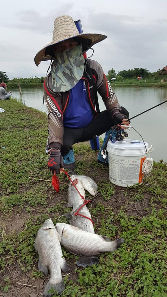 สวัสดีครับน้าชาวสยามฟิชชิ่งทุกท่านวันนี้ผมเองก้นำภาพการเก้บตกกับบ่อสายเเข็งแถมฝนก้ตกฟ้าก้ปิดทางบ่อต้