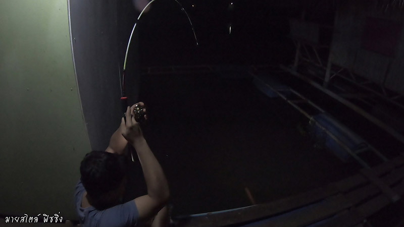 กุ้งจับดีมากครับ แต่ไม่มีความสามารถเอาตัวขึ้นมาได้ครับ 