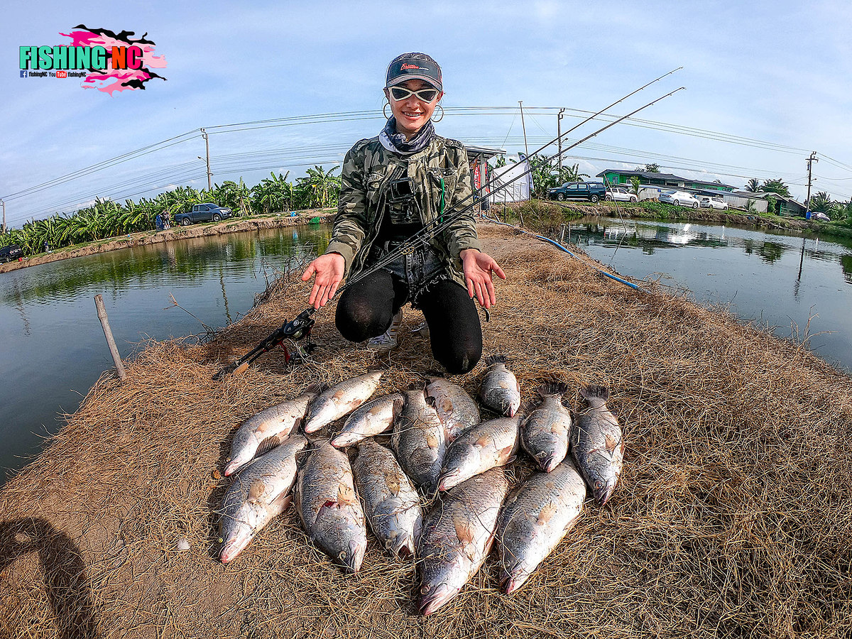 งัดโหดปลากระพงหลุดเดียว14ตัว งานแข่งคลอง11 Fishing one