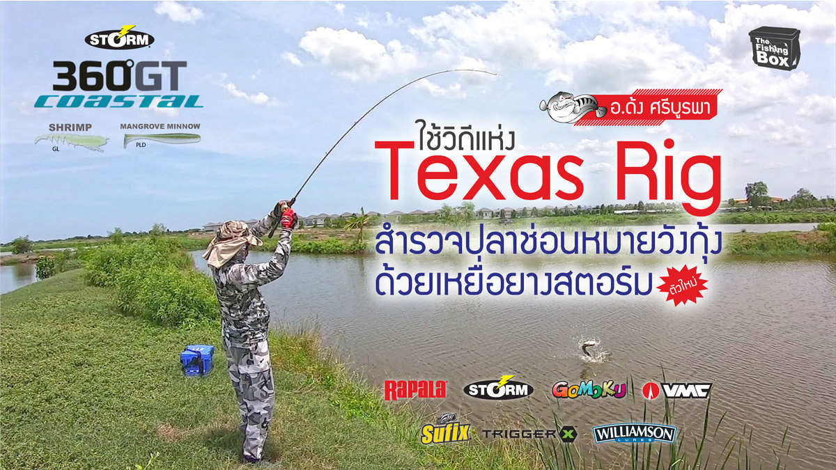 วิถีแห่ง Texas Rig #272 : สำรวจหมายปลาช่อนวังกุ้ง