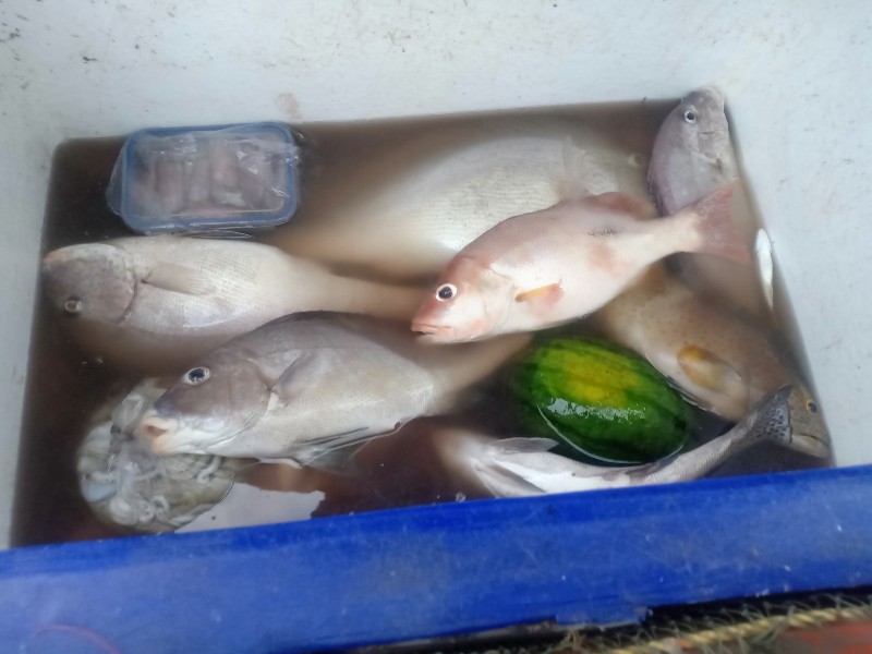 มีตุนลัง