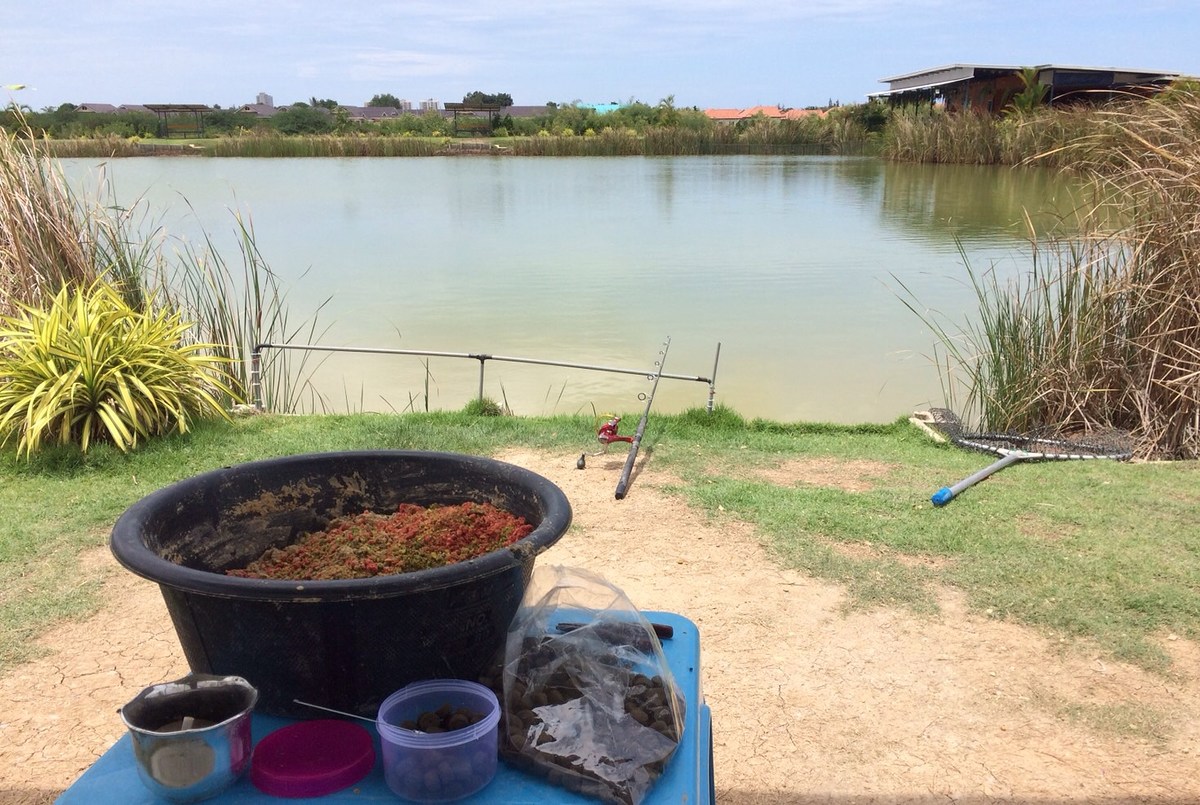 ไปตามหาเธอหมายต่อไปกันเลยครับน้าๆ

อยู่ที่ชะอำ บ้านแม่ยาย บ่อ Elton view fishing Park ครับ

บ่อน