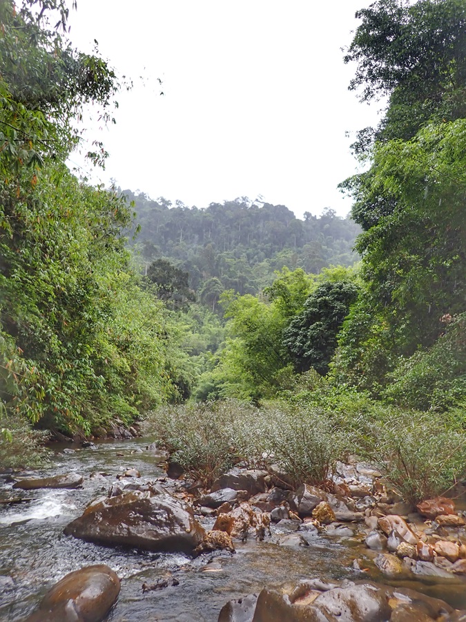 

 [center][b]และฝนก็ตงลงมาให้หายร้อน[/b][/center]

