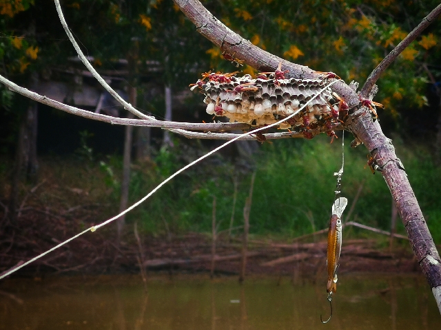 ..Art Of Fishing Lift..