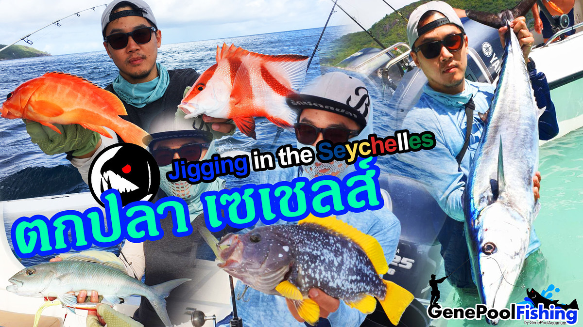 ประเทศเซเชลล์ สวรรค์ของนักตกปลา / jigging in the seychelles : GenePoolFishing