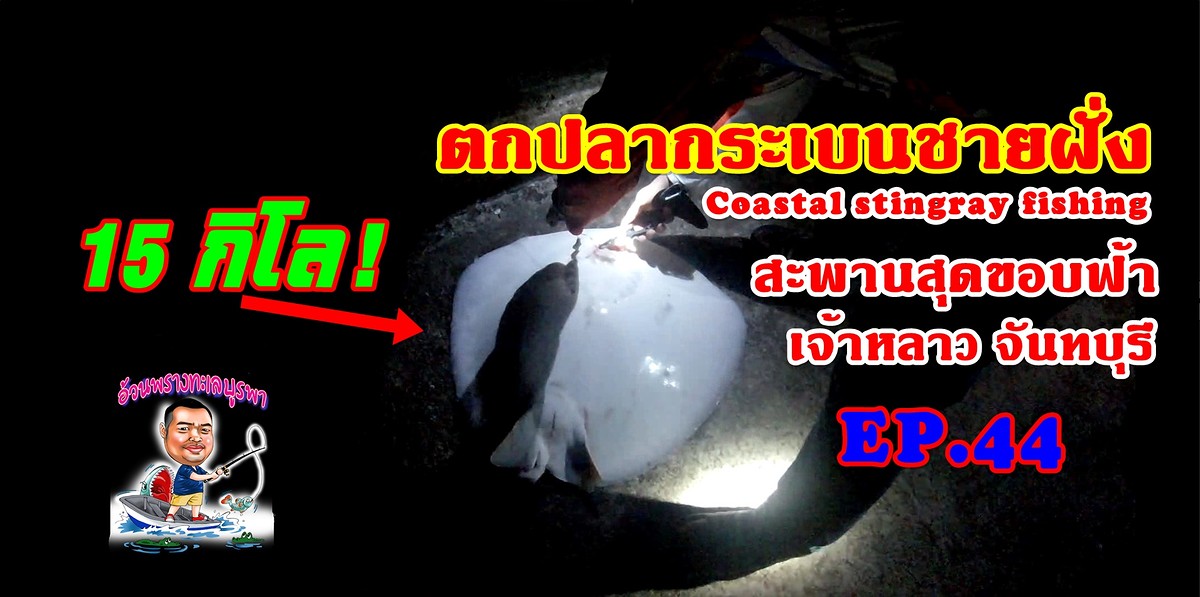 ตกปลากระเบนชายฝั่ง สะพานสุดขอบฟ้า เจ้าหลาว จันทบุรี 