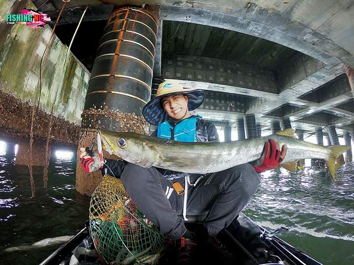 สุดระทึก ฝูงปลาสากถล่มใต้สะพาน!!!