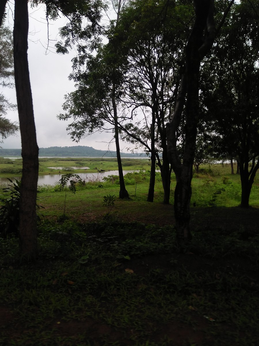 แดดไม่มีฝนลงรินทั้งวันใกล้ถึงหมาย