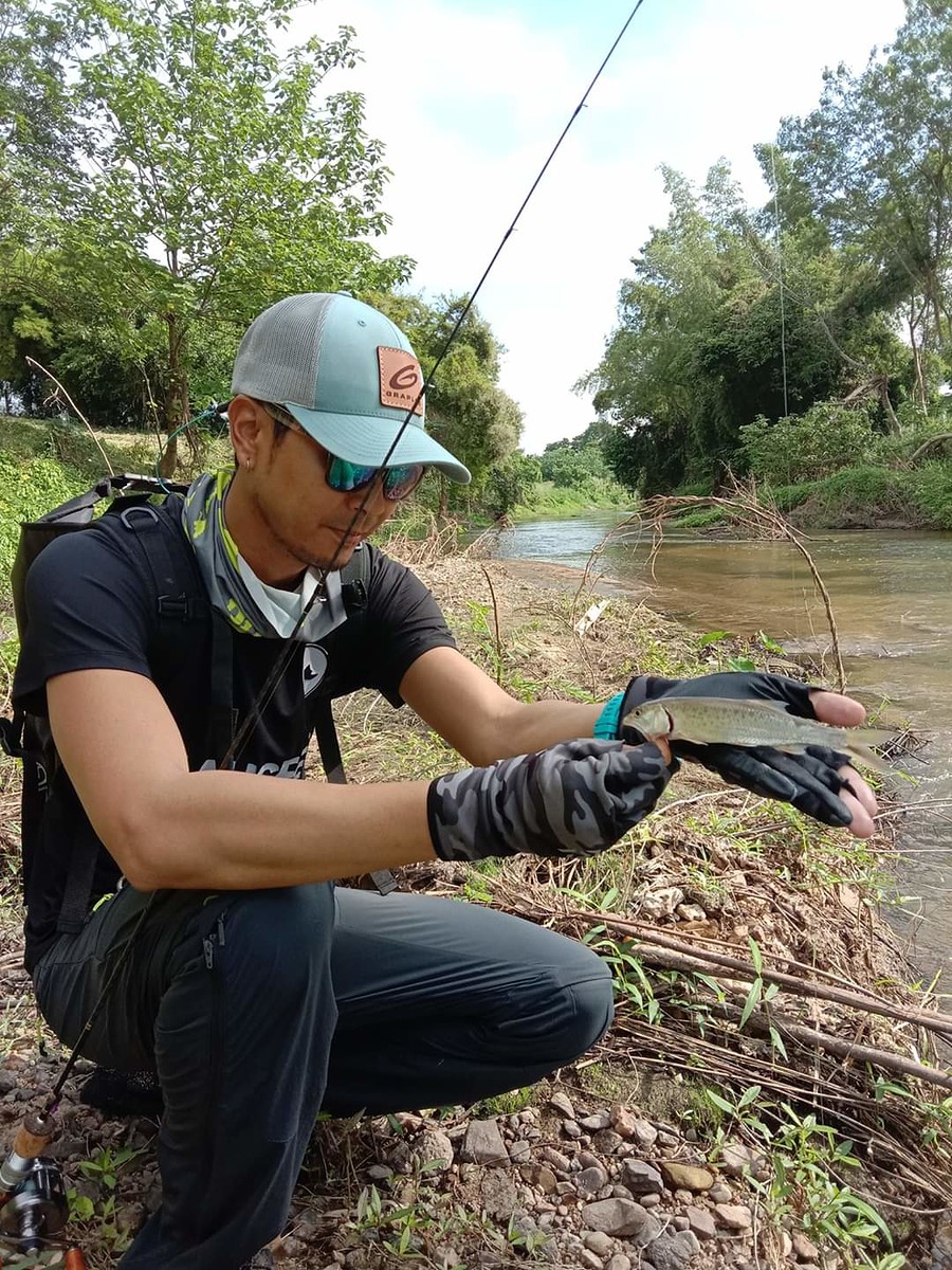 รีบถ่ายรูปรีบปล่อย ปลาที่นี่ค่อนข้างเเข็งเเรงครับ