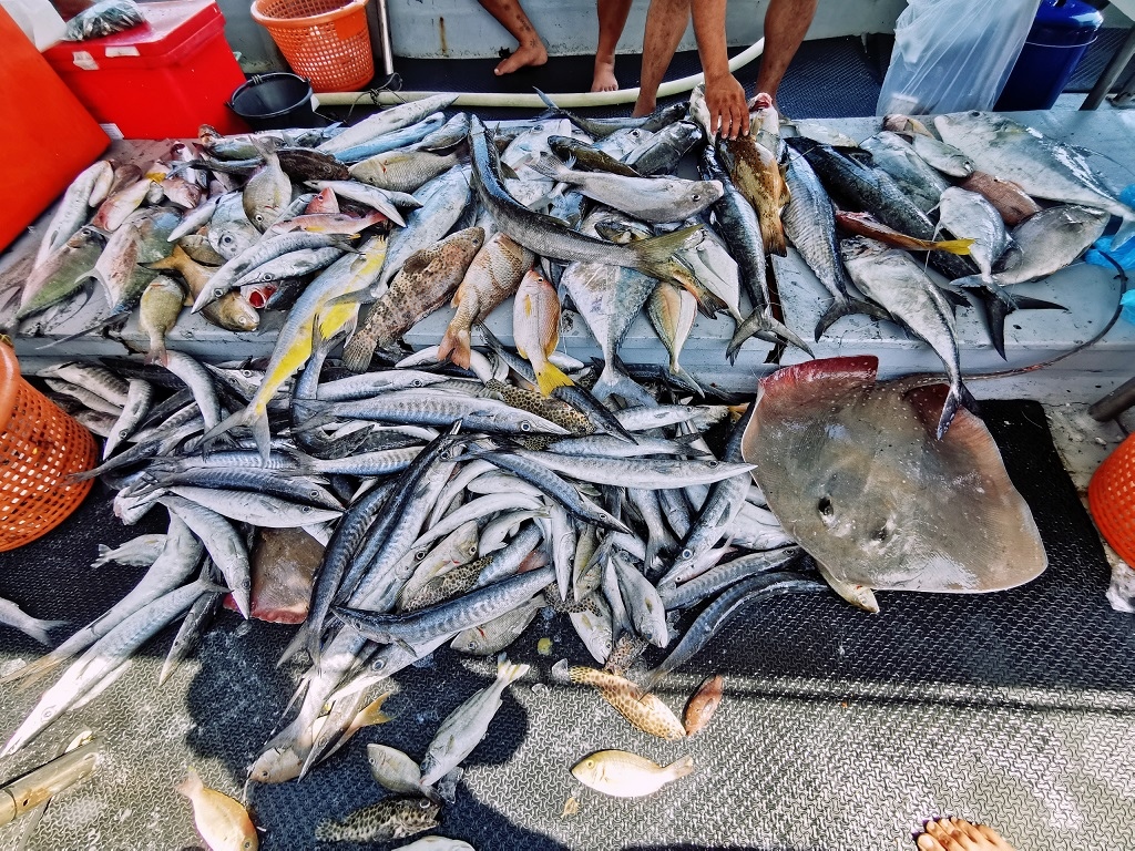 [นักตกปลาฝึกหัด] - ลงเรือใหญ่ตกปลาครั้งแรก ณ ทะเลตราด กับไต๋เพชร เกาะช้าง