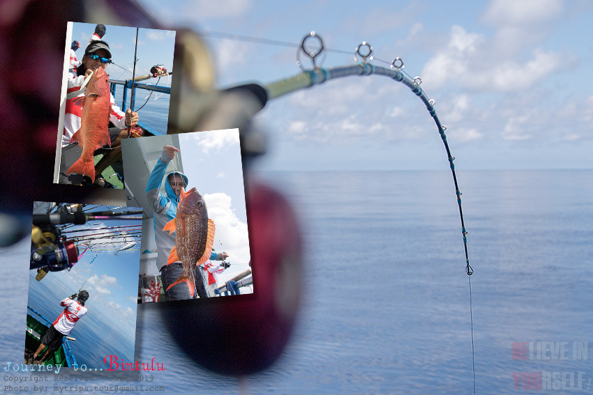 Afternoon Fishing #5