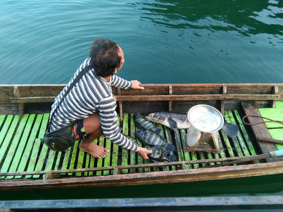 เมื่อวานตกปลาอยู่ เห็นพี่เขาขับเรือผ่านไปผ่านมา จึงเกิดสงสัย จึงกวักมือเรียก พี่เขาบอกกำลังจะไปยิงปล