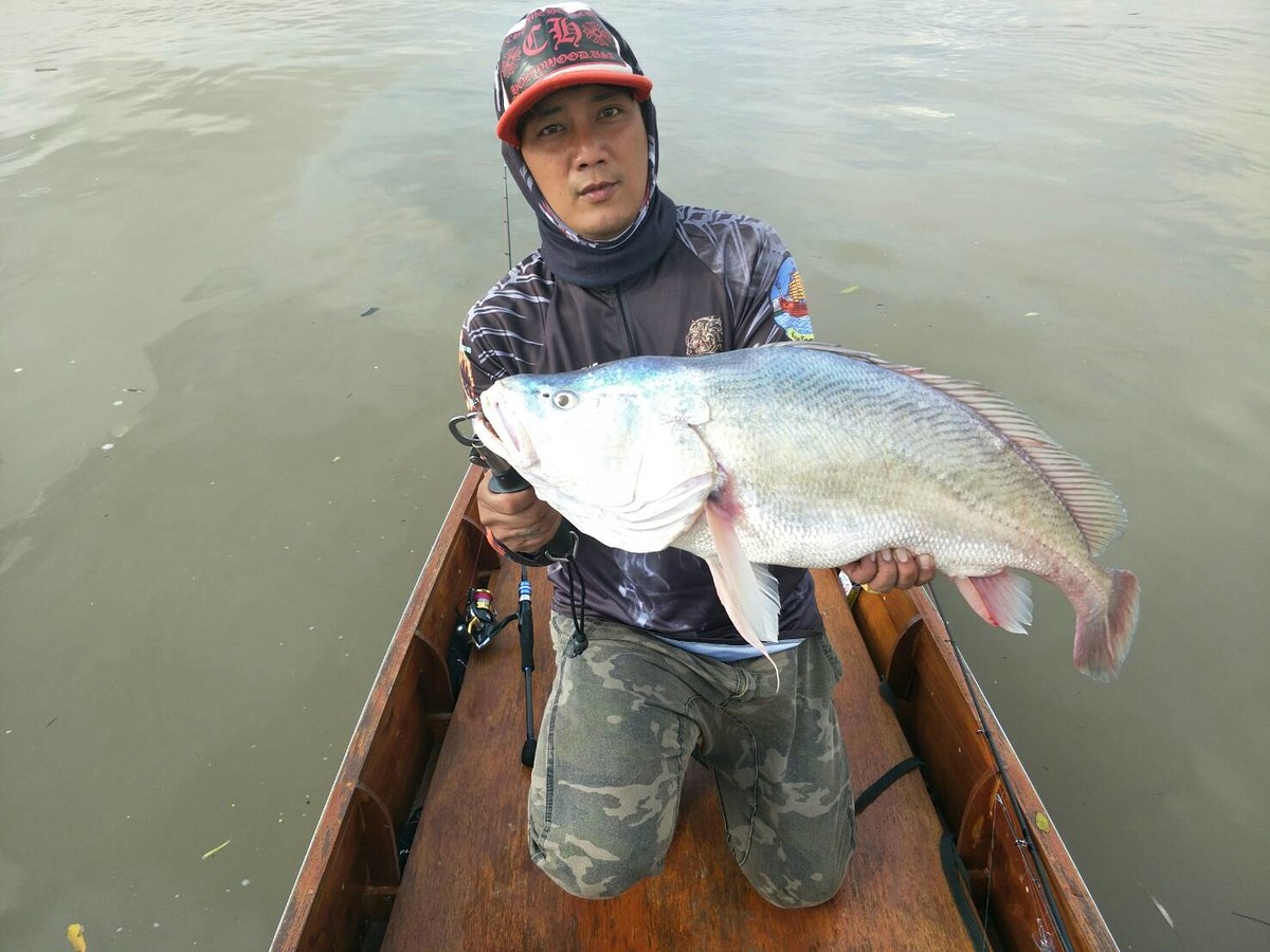 คนไทย น้องต่อ