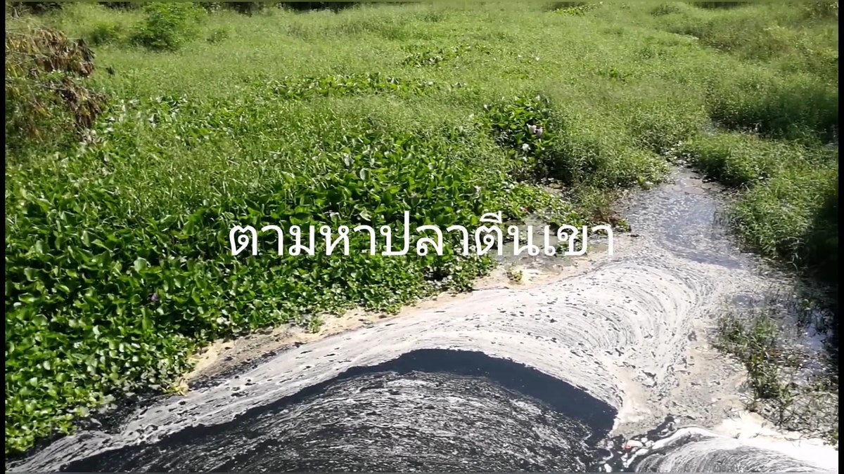 ชื่อตอนครับ  แต่หมายนี้มาเผาหัวก่อน  :cheer: